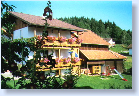 Hausansicht (Sommer)